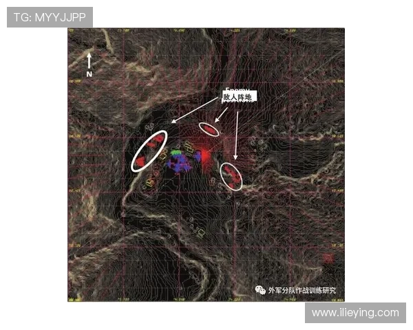LNG在Major赛中的团队协作表现分析与启示