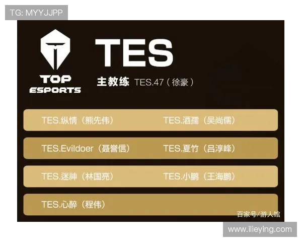 TES战术解析：深度剖析王者荣耀中的运营体系与团队协作策略