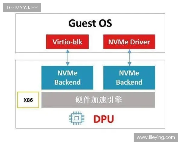 北京乒乓球队实力分析与未来发展趋势的深入探讨