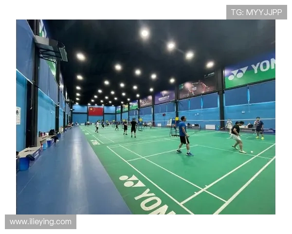 杨军独家分享羽毛球技巧与心得助你提升竞技水平与乐趣