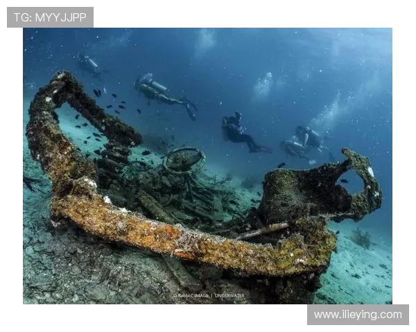 斯通斯的传奇旅程:从摇滚乐坛到全球文化的影响力探索 斯通斯的传奇旅程:从摇滚乐坛到全球文化的影响力探索