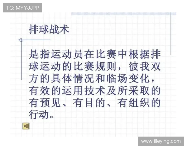 深圳排球队中路突破战术解析与实战应用探讨